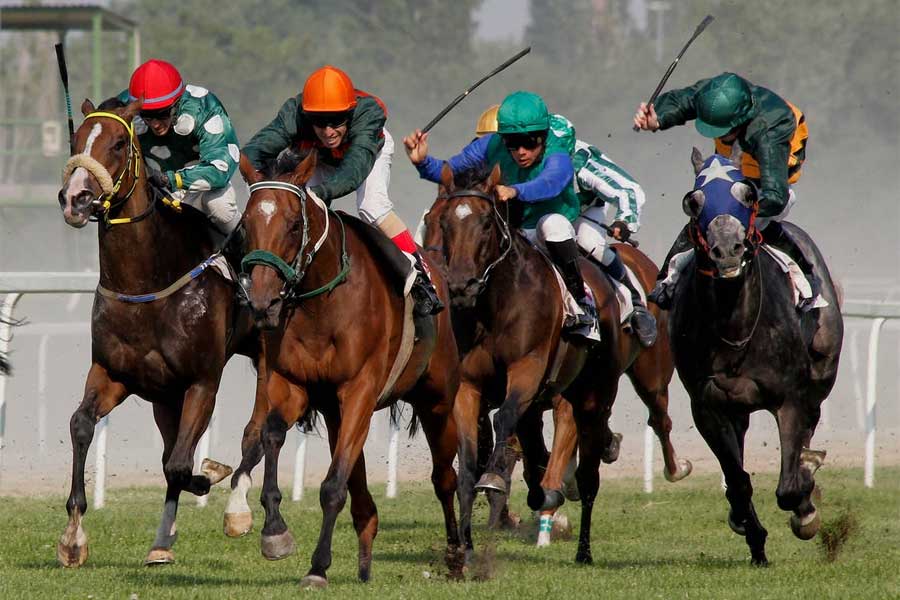 Quick Guide To Betting On Horse Racing in The UK